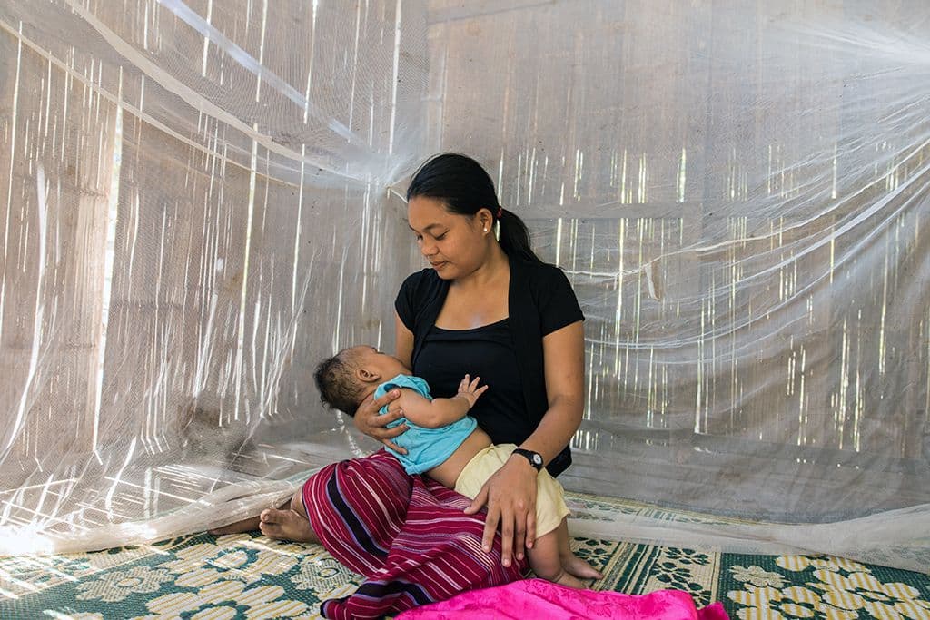 mosquito nets for beds