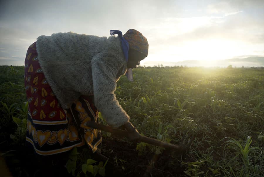 Grandma farming in Kenya