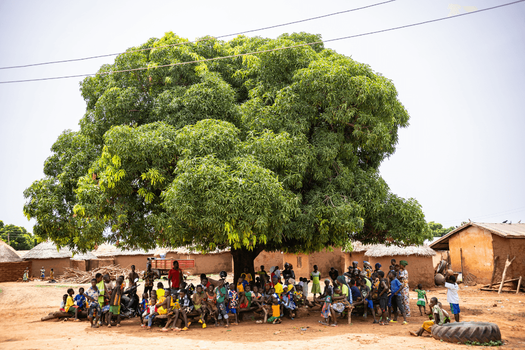 Landscape from the Savannah region of Ghana