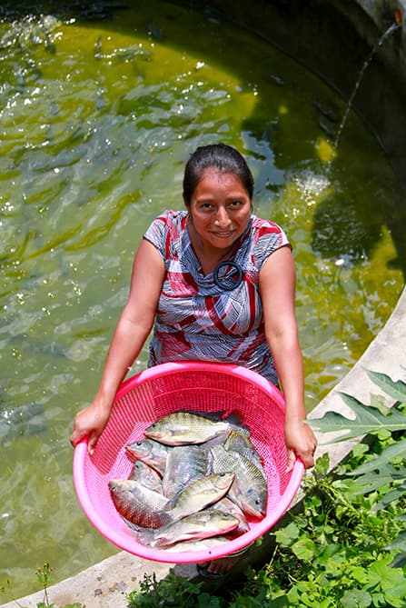 fish farming