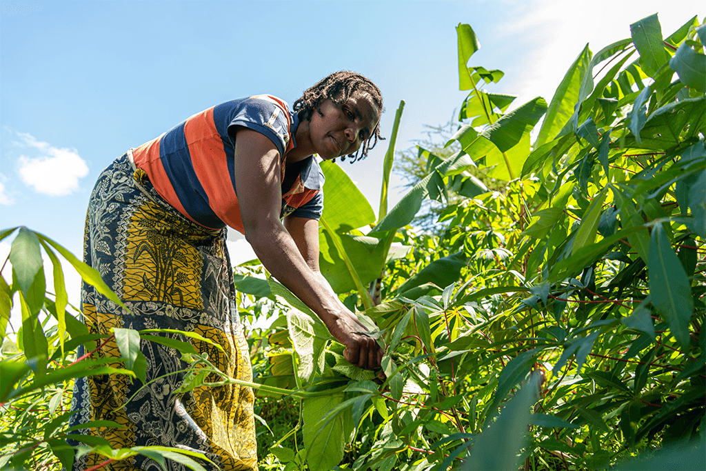 Mary farming crops in the field