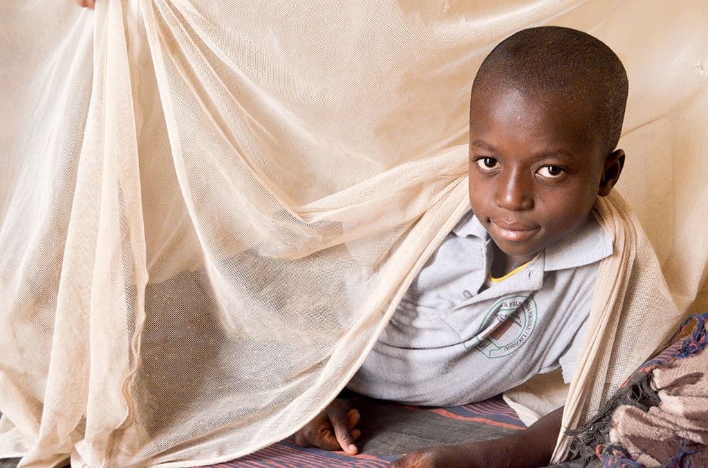 malaria net