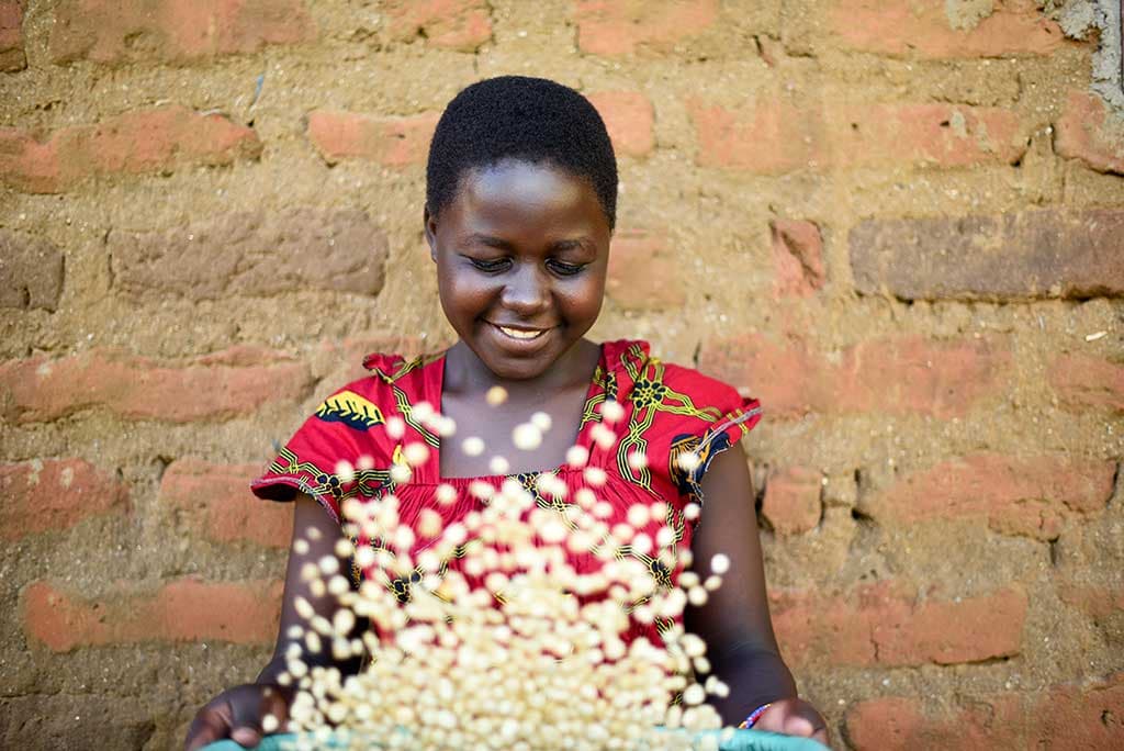 Ndanu throwing rice