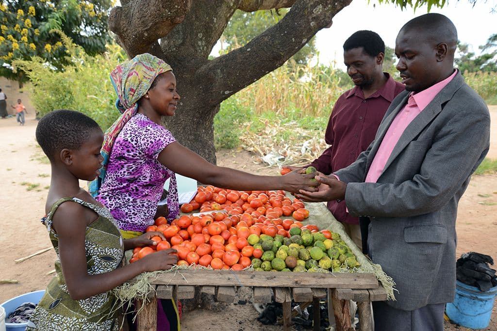 tomato stall