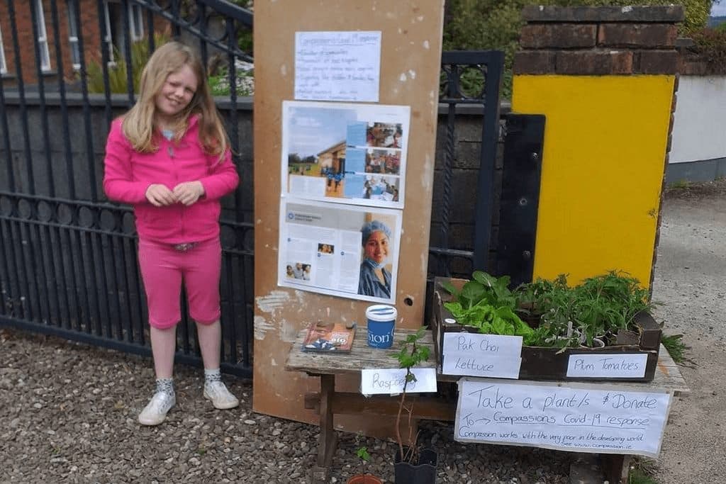 Poppy fundraising Ireland