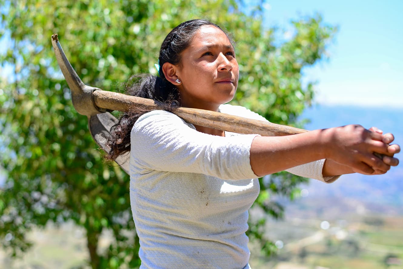 Labour in Peru