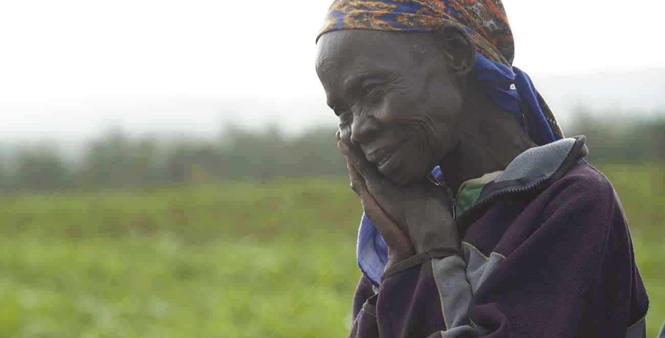 Nachi feature brighter