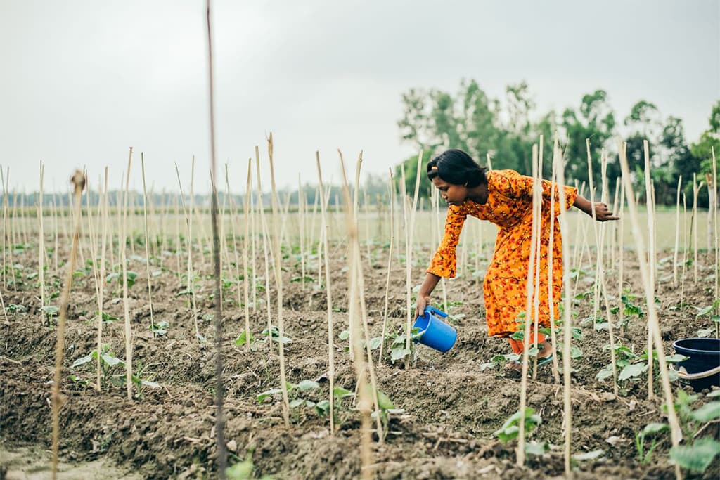 A girl watering her crops