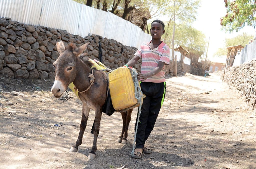 collecting water