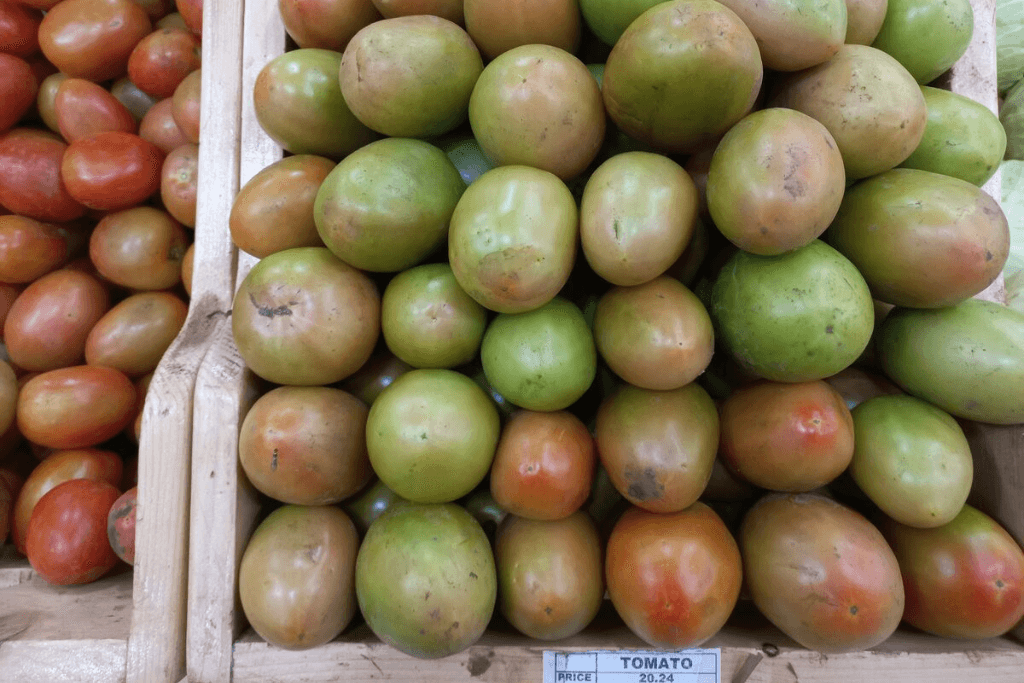 Tomatoes on display at a