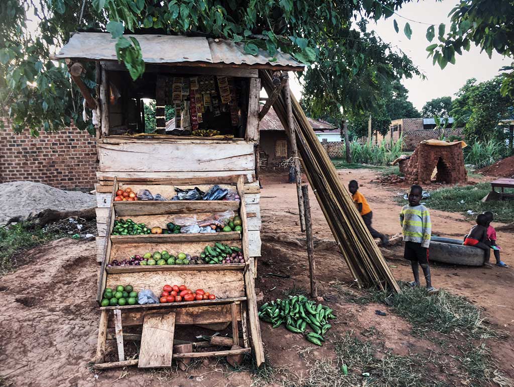 Fruit stand in Uganda