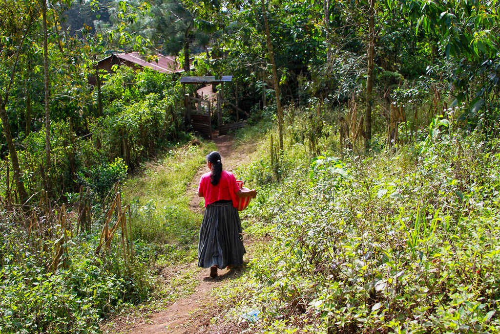 woman walking in forest carrying basket
