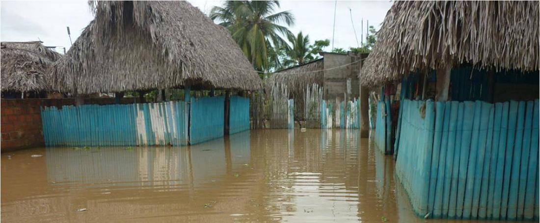 flooding homes colombia water mosquitos