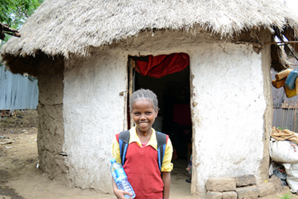 Houses in Ethiopia