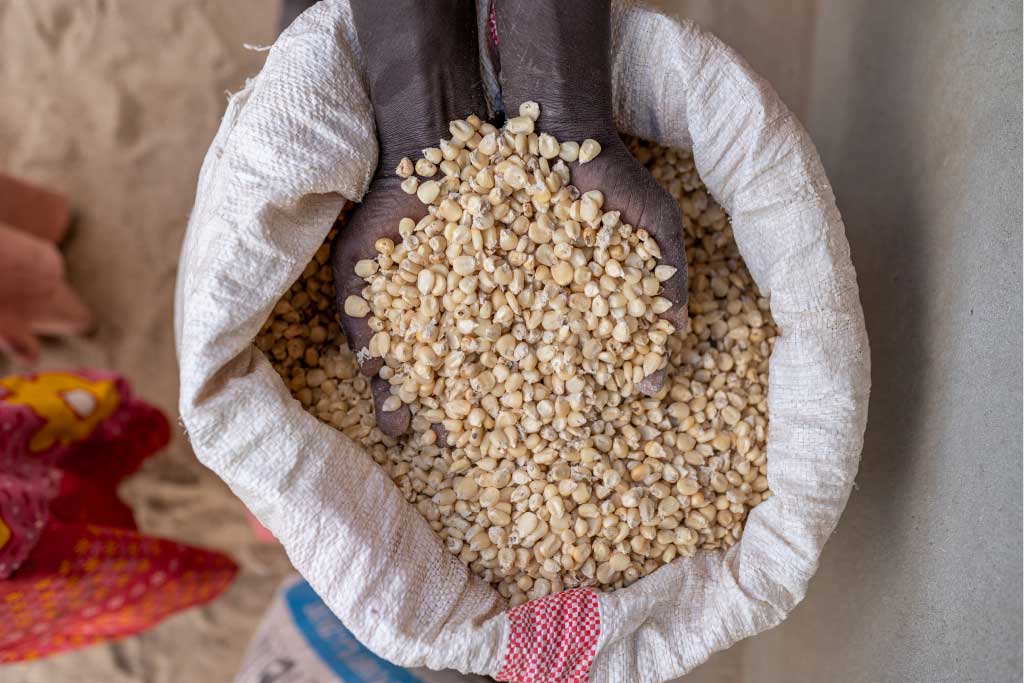 A bag of dried corn kernels, Tanzania