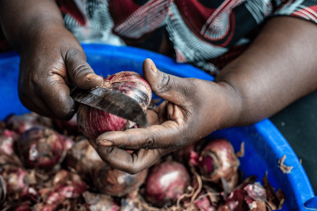 Preparing onions in Uganda