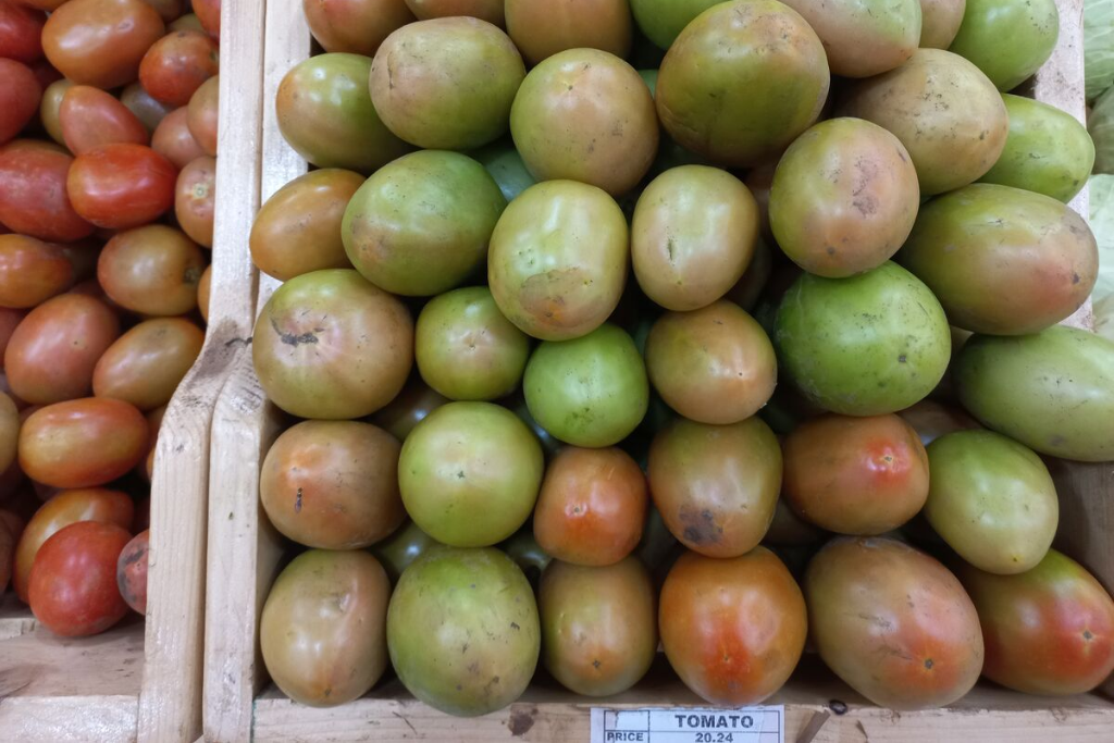 Tomatoes on display at a